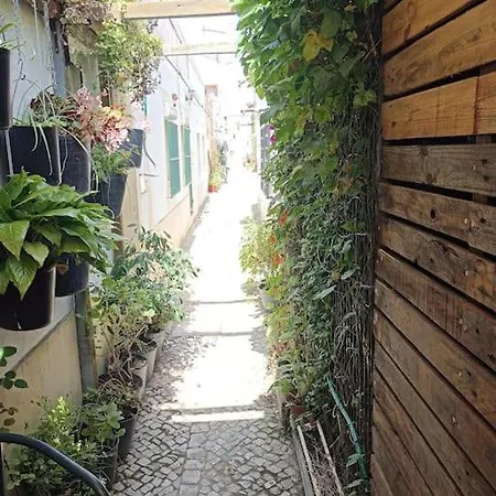 Studio With Lush Green Patio * Barreiro