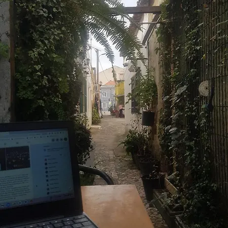 Studio With Lush Green Patio * Barreiro (Setubal)